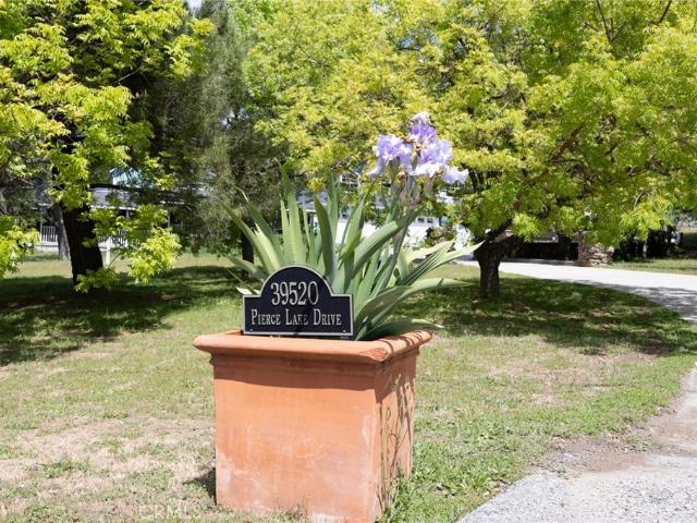 39520 Pierce Lake