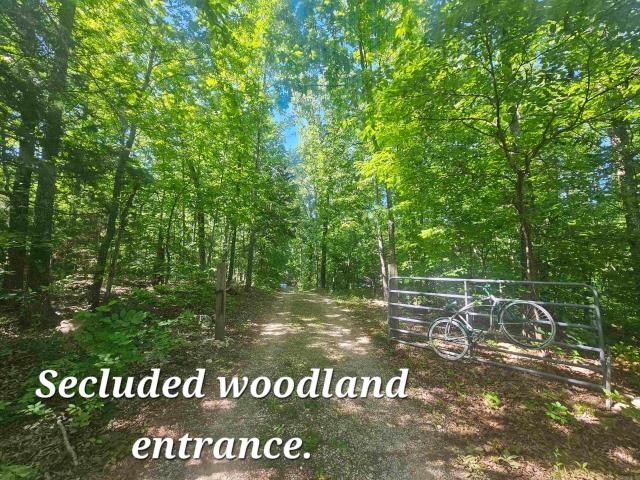 3986 Oak Grove Loop