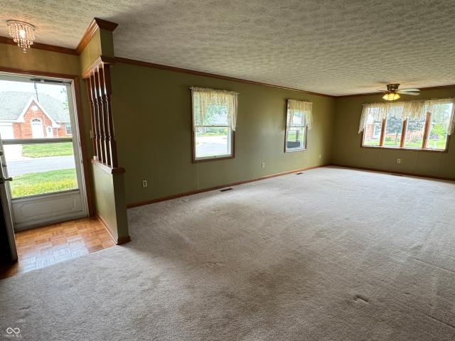 399 Vinewood Drive S