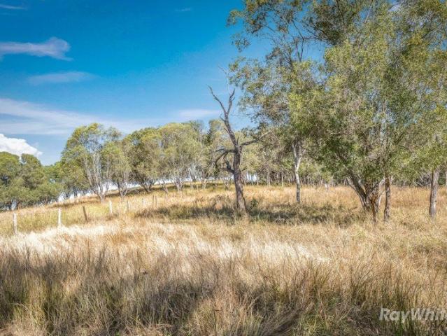 39.41 Acres Ready for Horses, Cattle & Country Living
