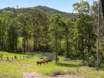 39 acres of beautiful country landscape
