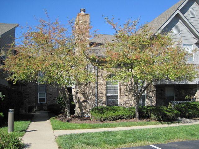 39 Foxcroft Road Unit 127, Naperville, US, IL