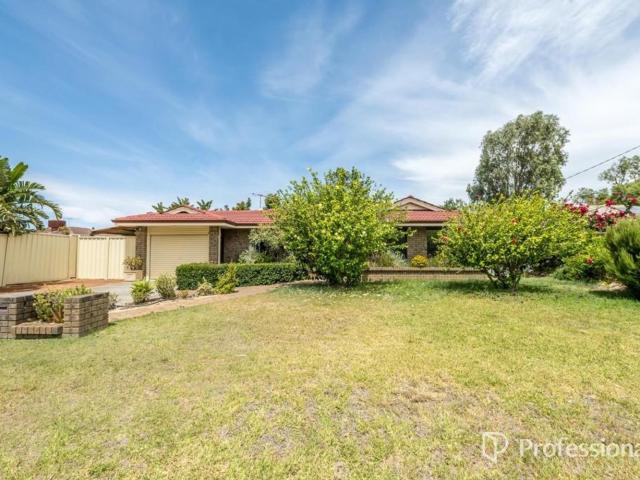 3 Maclarty WayHigh Wycombe WA 6057, Australia
