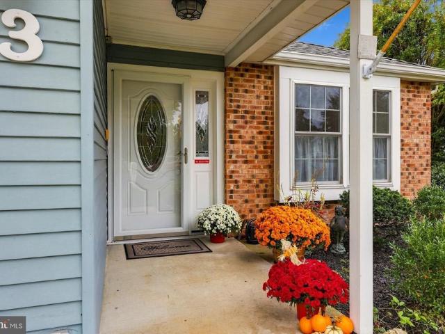 3 Avandale Court