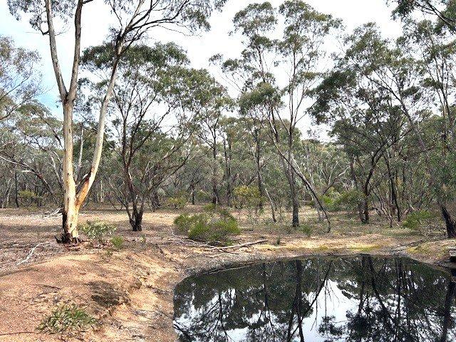 3 Acres Minutes From Town Bush Block
