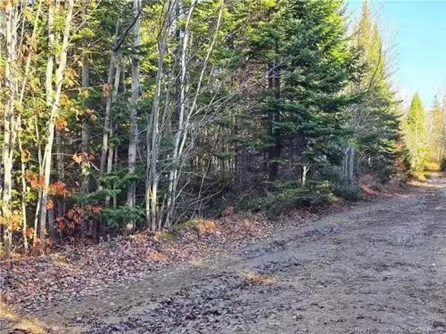 3 Acres Ch Doucet, Val Doucet, NB, E8R 1X4 vacant land for s.