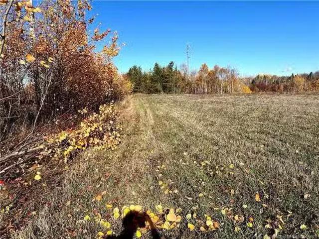 3 Acres Ch Eustache Hache, Saint Isidore, NB, E8M 1G7 vacant.