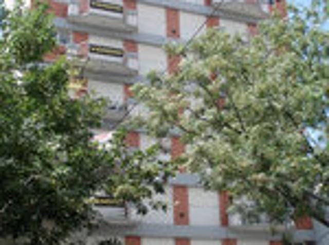 3 amb al frente