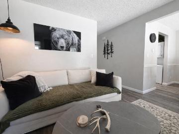 3 Balsam Trail