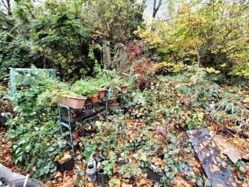 3 bed flat for sale