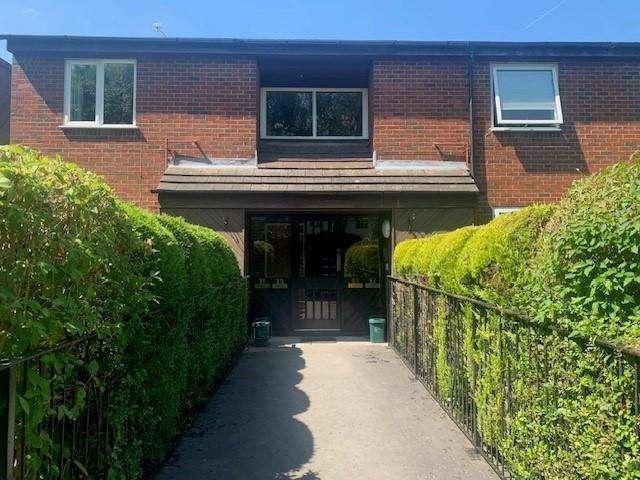 3 bed flat to rent