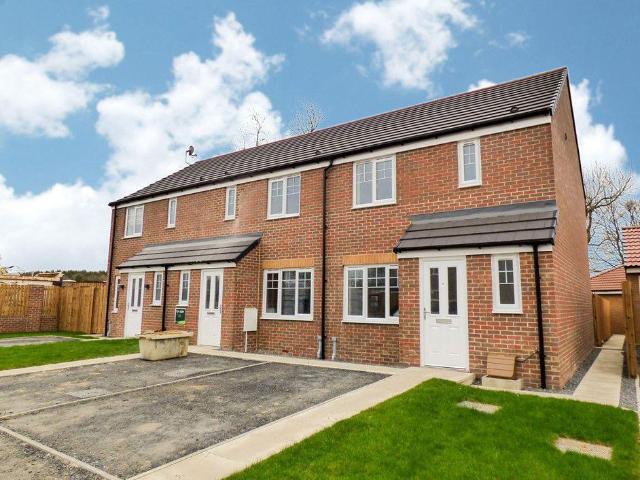 3 bed flat to rent