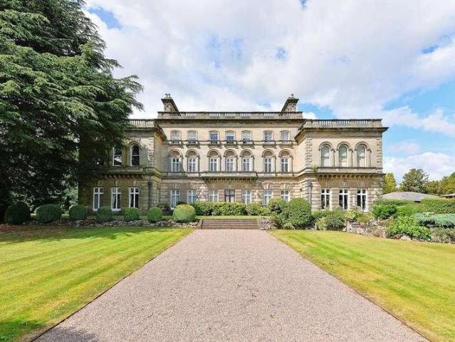 3 bed flat to rent