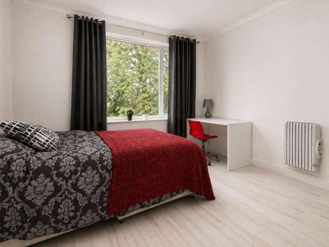 3 bed flat to rent