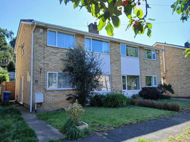 3 bed house to rent