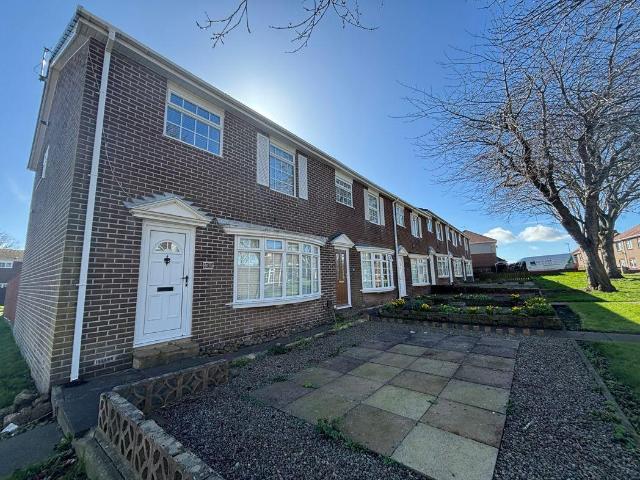 3 bed house to rent