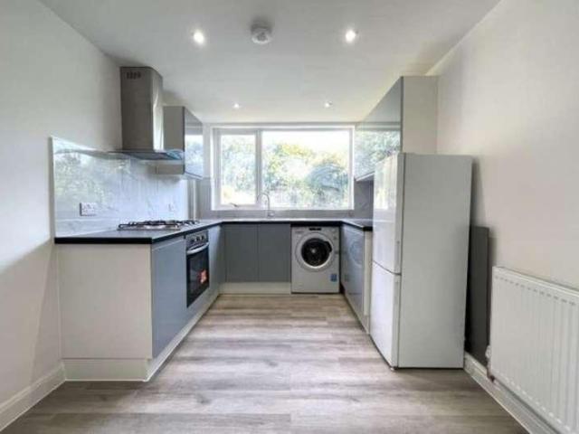 3 bed house to rent