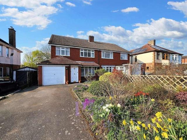 3 bed house to rent