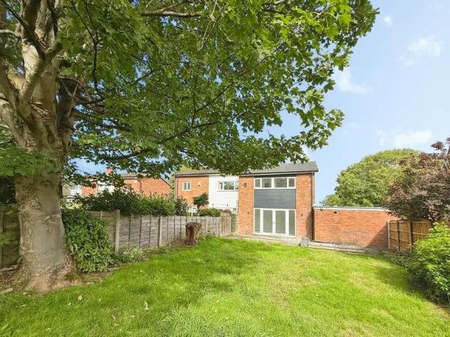 3 bed house to rent