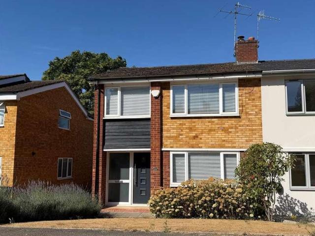 3 bed house to rent