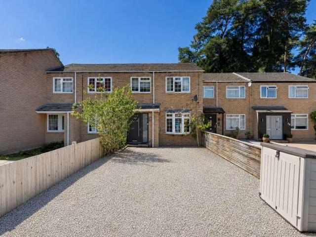 3 bed house to rent