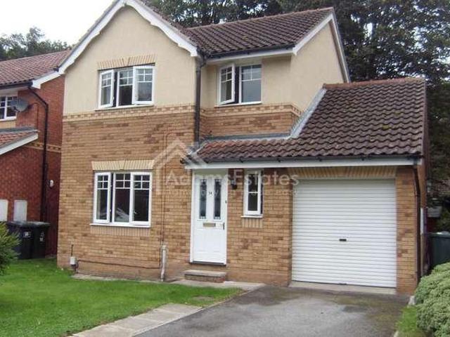 3 bed house to rent