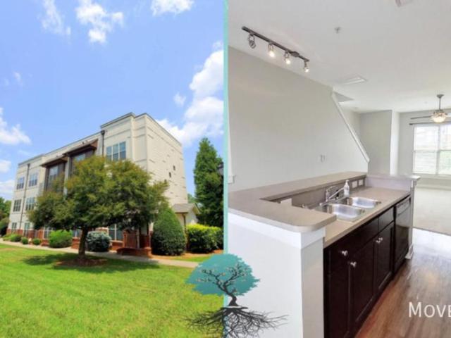 3 bedroom, Charlotte NC 28204 104815064