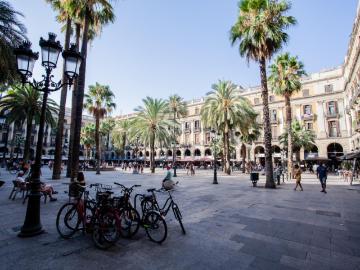 3 Bedroom apartment near Liceu metro station