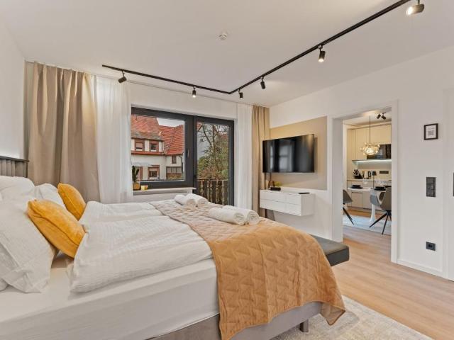3 bedroom apartment next to bus station Heidelberg Ziegelhausen, Heidelberg Amsterdam Apartments for Rent