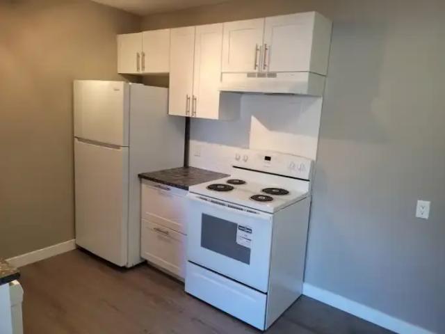 3 Bedroom Apartment Edmonton AB LS104940329
