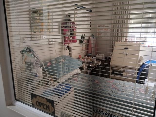 3 Bedroom Apartment / Flat For Sale in Humewood
