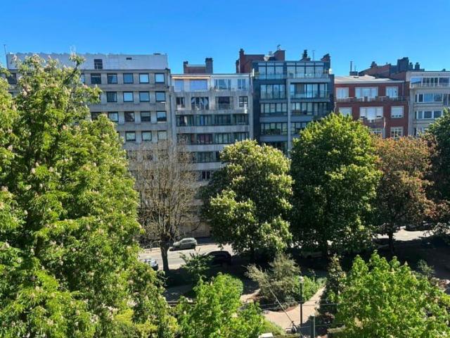 3 bedroom apartment for rent, Avenue Louise, Brussels