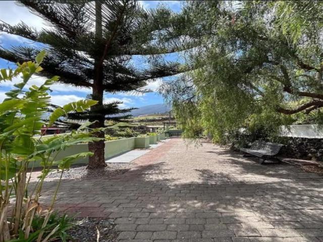 3 bedroom apartment for rent in Breña Alta