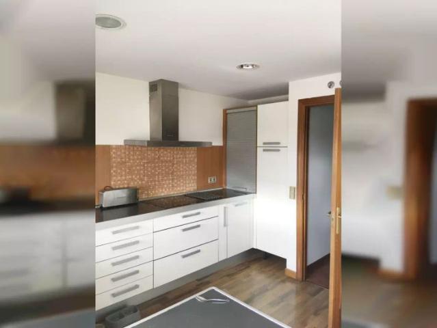3 bedroom apartment for rent in Canillas, pets allowed