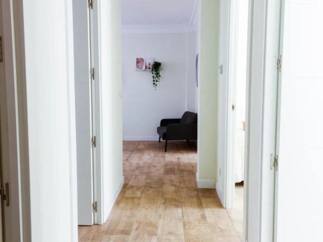 3 bedroom apartment for rent in San Ignacio, perfect for professionals and students