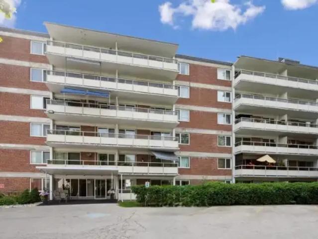 3 Bedroom Apartment Kitchener ON 104841335