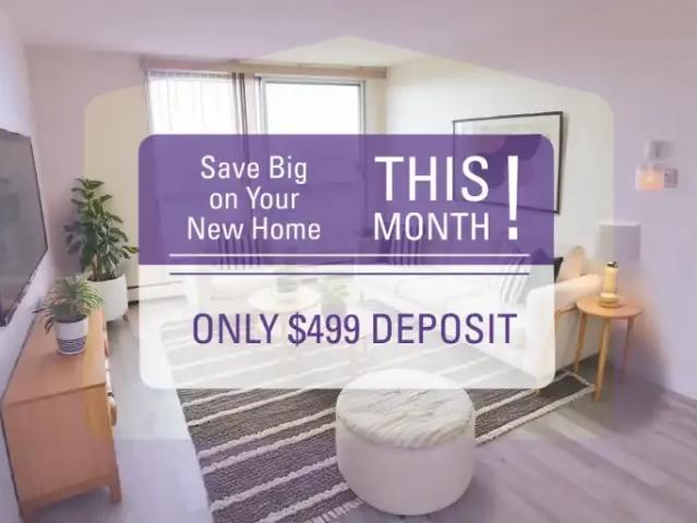 3 Bedroom Apartment Surrey BC 94327997