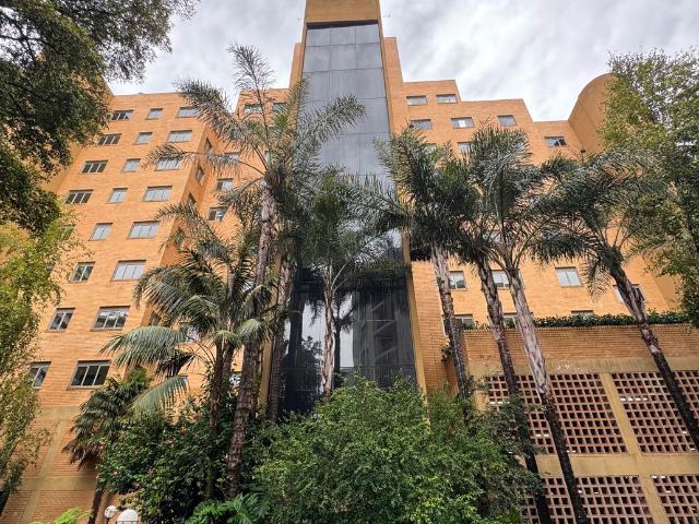 3 Bedroom Apartment To Let in Morningside