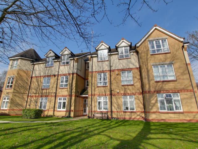 3 bedroom apartment to rent