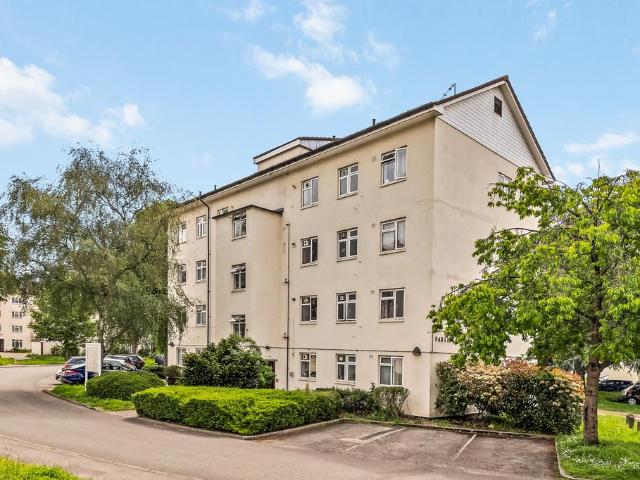 3 bedroom apartment to rent