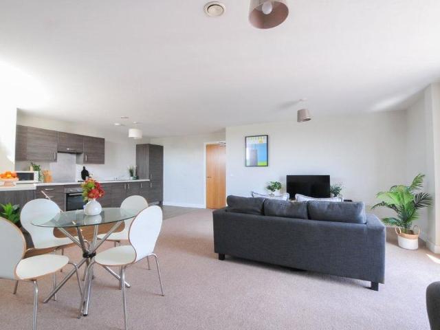 3 bedroom apartment to rent