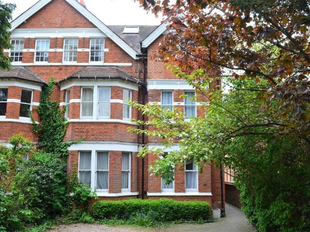 3 bedroom apartment to rent