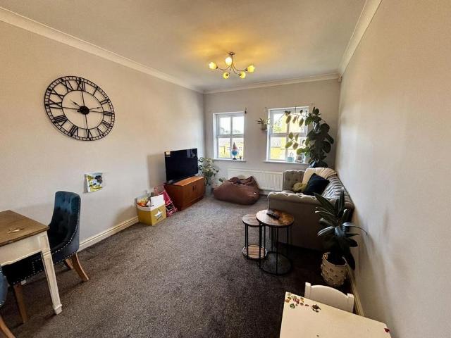 3 bedroom apartment to rent