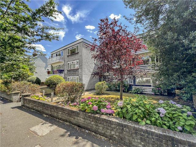 3 bedroom apartment to rent