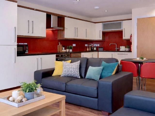 3 bedroom apartment to rent
