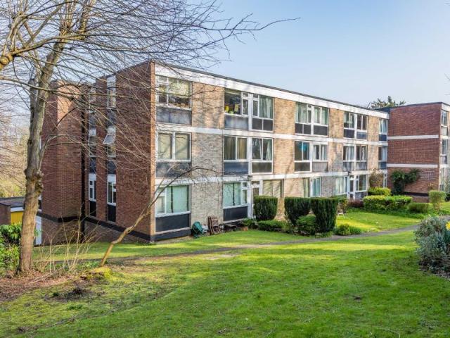 3 bedroom apartment to rent