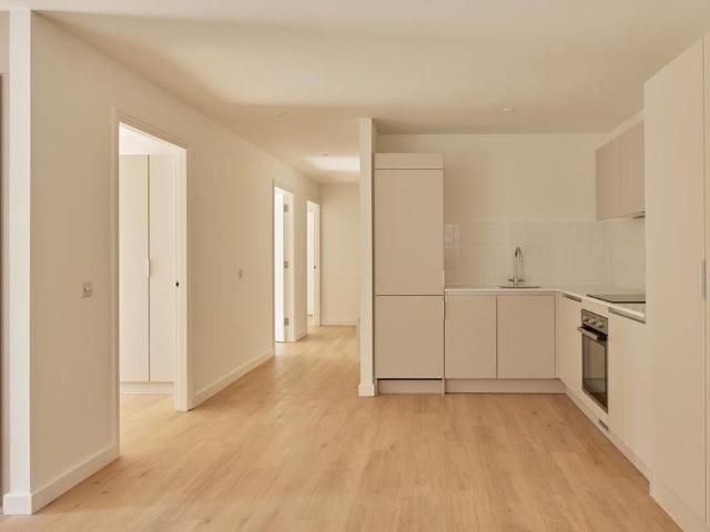 3 bedroom apartment to rent