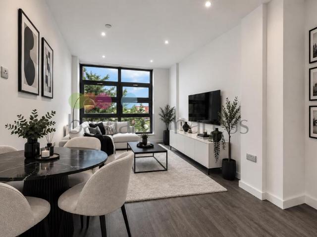 3 bedroom apartment to rent