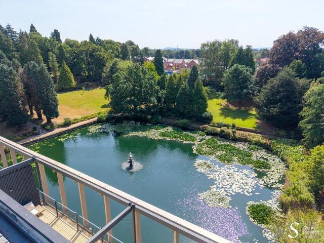 3 bedroom apartment to rent