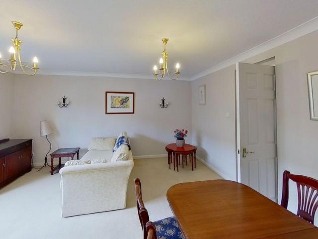 3 bedroom apartment to rent